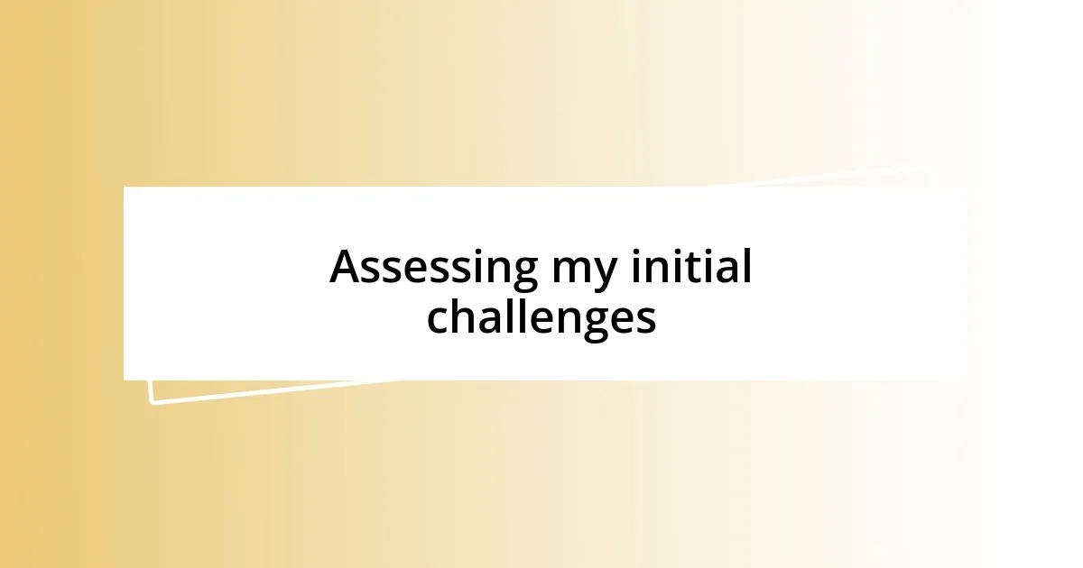 Assessing my initial challenges