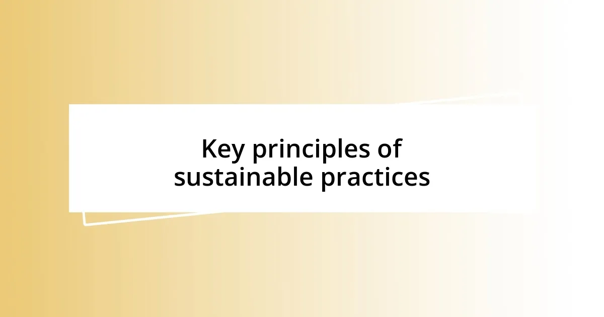 Key principles of sustainable practices